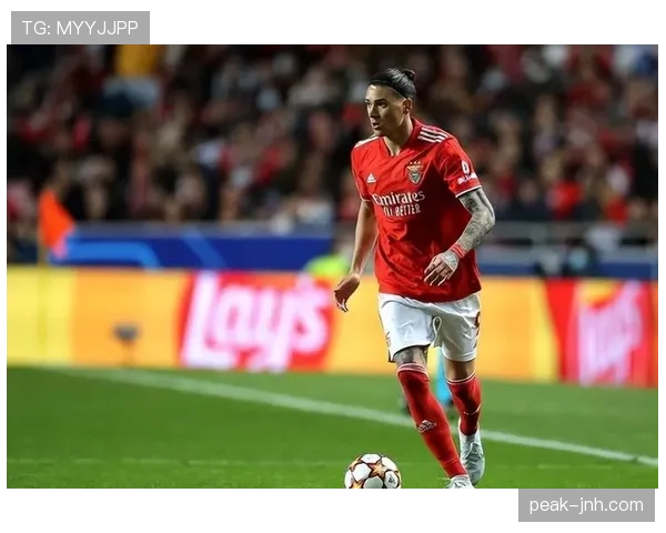 努涅斯本菲卡时期数据含金量几何：赛场真实贡献与效率拆解