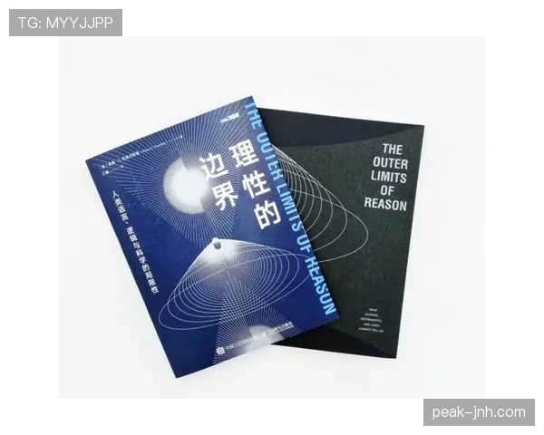 维尔茨在战术体系中的适配逻辑与依赖边界解析