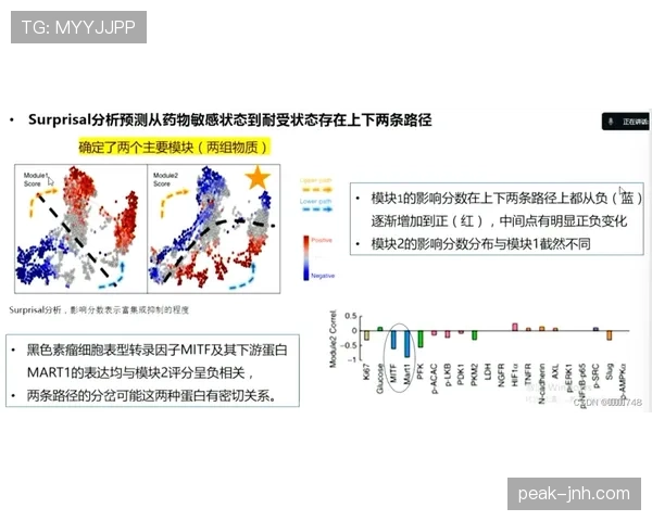 G组冷门结果模拟分析
